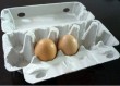 ZMG 3-24 paper egg tray machine selling