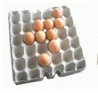 ZMG series egg tray machine selling