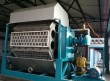 China egg tray pulp molding machine exporter