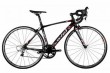 WIEL Carbon Road Bicycle B076