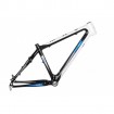 Carbon BMW MTB Frame