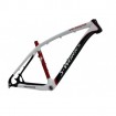 Carbon MTB Frame S-WORKS