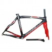 Carbon road bike frame PINARELLO B01