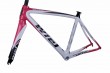 WIELBIKE FM-B075 carbon road/racing frame