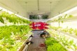 hydroponic farming container