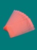 Color PE Zip Lock Packing Bag