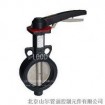 100D series centerline butterfly valve