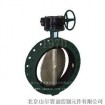 197d Centerline Butterfly Valves