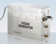 Business steam generator series 