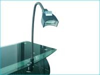 LED  whitening light