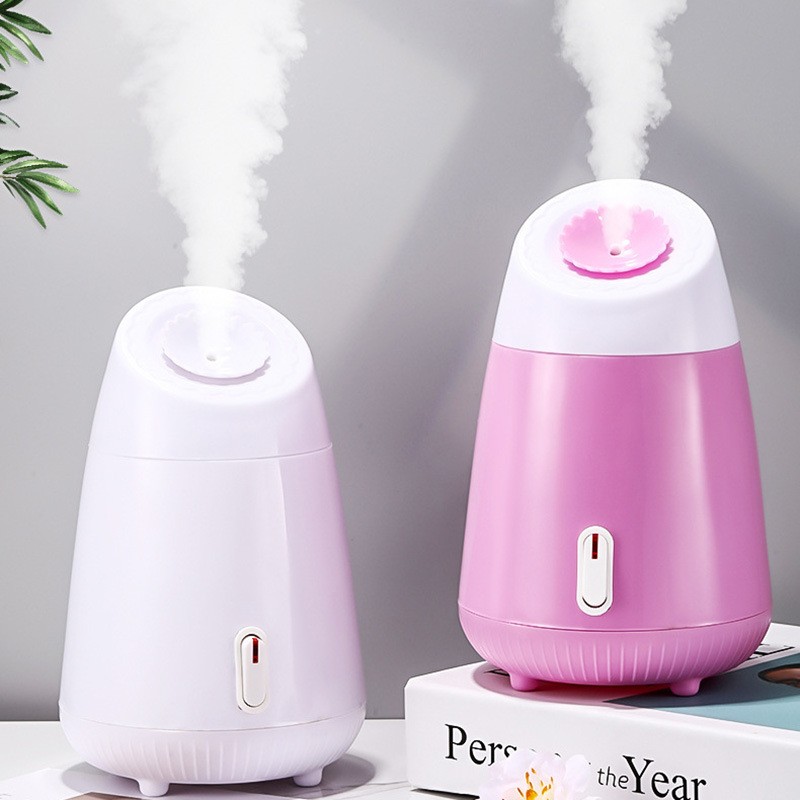 Wholesale daily use  face steamer for ladies