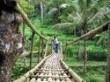 Bamboo Bridge