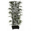 Pencil Bamboo Planter - Black