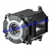 np42lp OEM 180 Days Warranty Projector Lamp NP42LP For NEC PA653 PA703W PA803 PA853W PA903 Projector