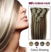 100% human hair Clip-in Extension #4/613