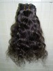 virgin human hair 14inch curly hair