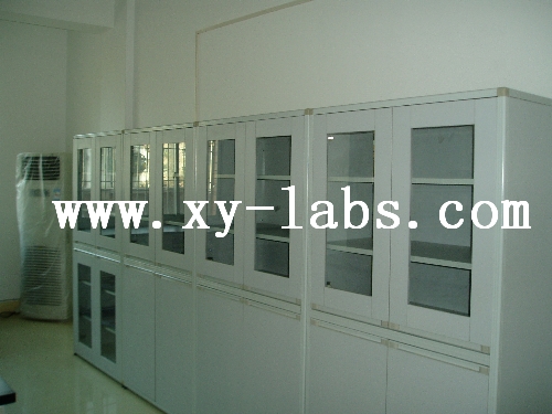 Flammables Storage Cabinet 