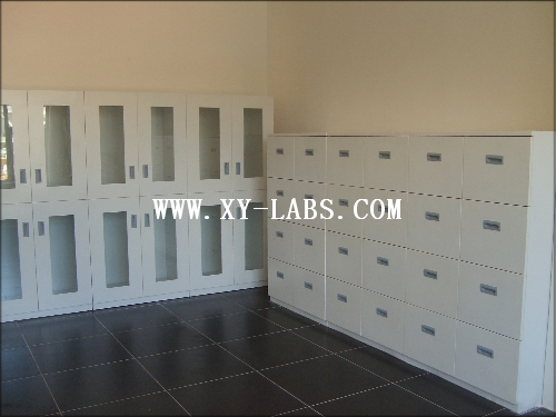 Laboratory Cabinet