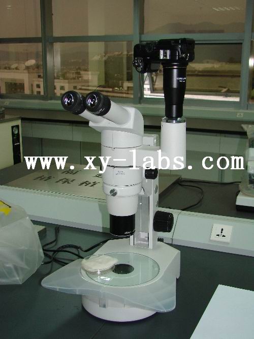 Dental Laboratory