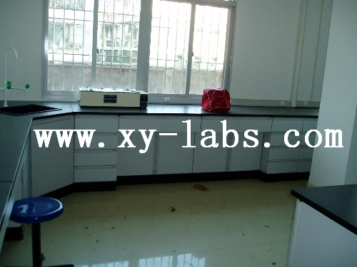 Epoxy Resin Laboratory Counters 