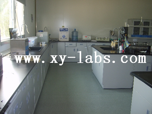 Lab Worktop