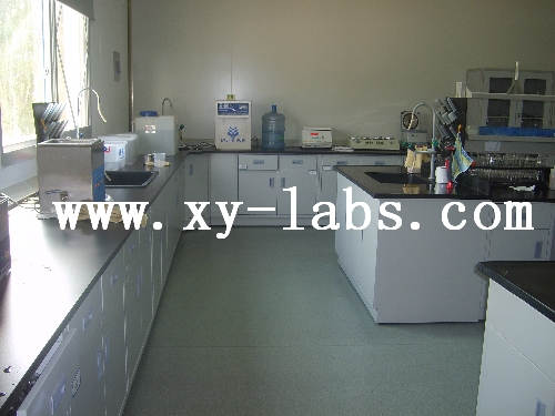Lab Worktop