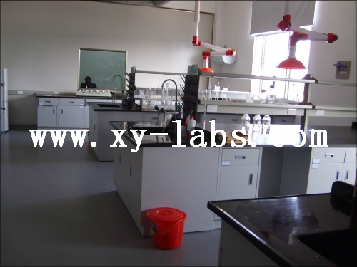 Laboratory Table Lab Furniture