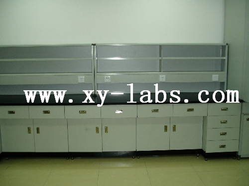 Stainless Steel Laboratory Cabinets