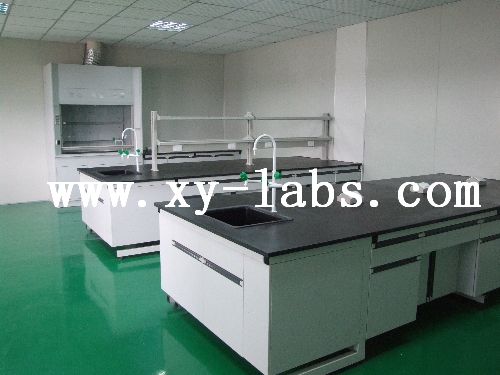 Standard Metal Lab Furniture 