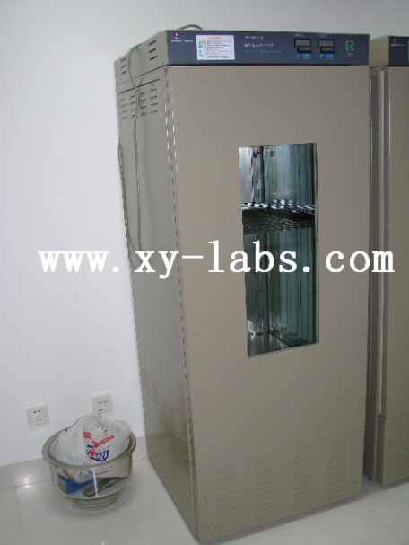Stainless Steel Counters