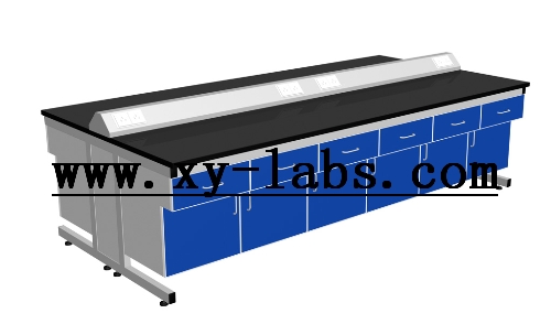 Laboratory Bench