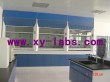 ADA Fume Hoods