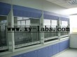 Chemical Fume Hoods