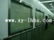 China Laboratory Fume Hood Supplier