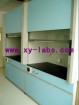 Demonstration Fume Hoods