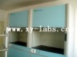 Fume Hood