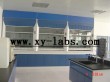 High Performance Green Chemical Fume Hoods