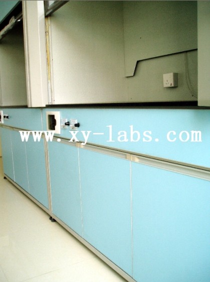 Lab ADA Fume Hoods