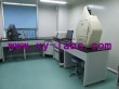 Lab Canopy Hoods