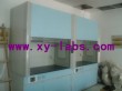 Lab Fume Hood China Supplier