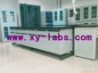 Lab Fume Hood Factory