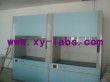 Lab Fume Hood Supplier