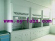 Lab Fume Hood Wholesaler