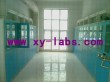 Laboratory ADA Fume Hoods