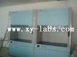 Laboratory Chemical Fume Hoods