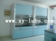 Laboratory Fume Hood