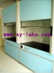 Laboratory Fume Hood Factory