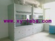 Laboratory Fume Hood Manufacturer