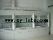 Laboratory Fume Hoods