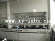 Laboratory Fume Hoods